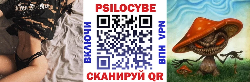 Галлюциногенные грибы Psilocybine cubensis  нарко площадка формула  Полярный 